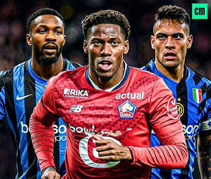 在高水平的 在高水平的