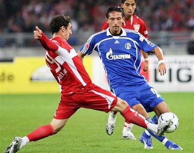 示了极高的 示了极高的