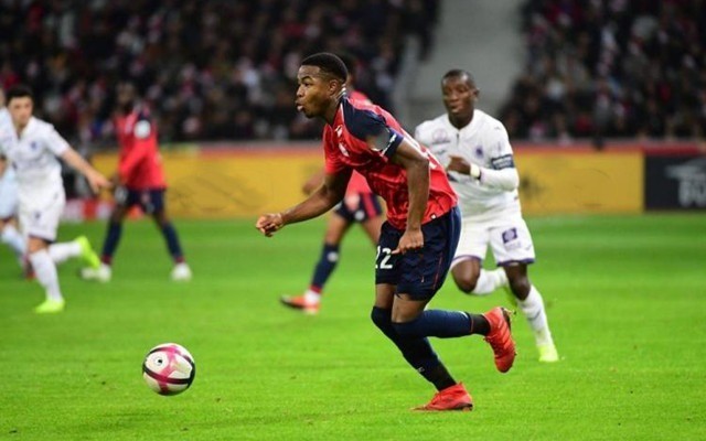 且愈发冷静 且愈发冷静